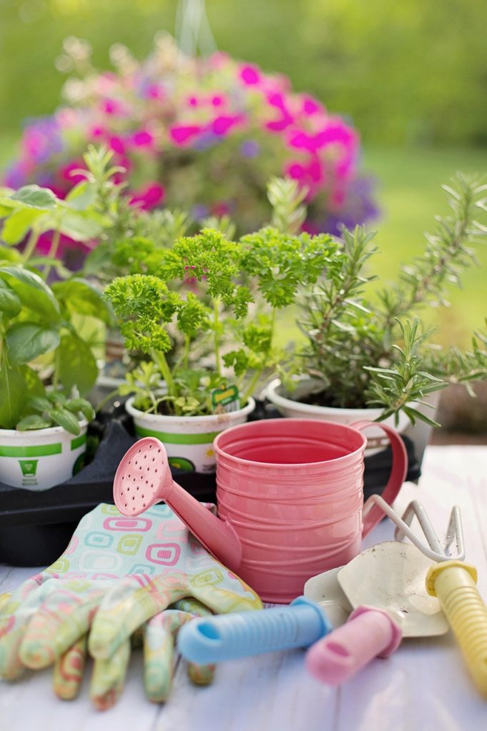 planting, spring, herbs, gardening, plants, tools, gardening tools, seedlings, nature, gardening tools, gardening tools, gardening tools, gardening tools, gardening tools